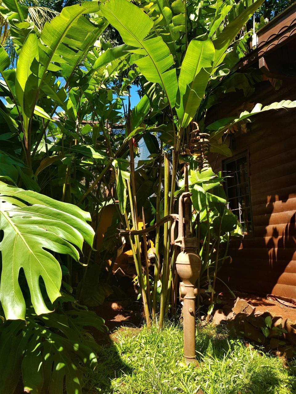 Si Mi Capitan - Cabanas & Habitaciones Puerto Iguazu Exterior photo